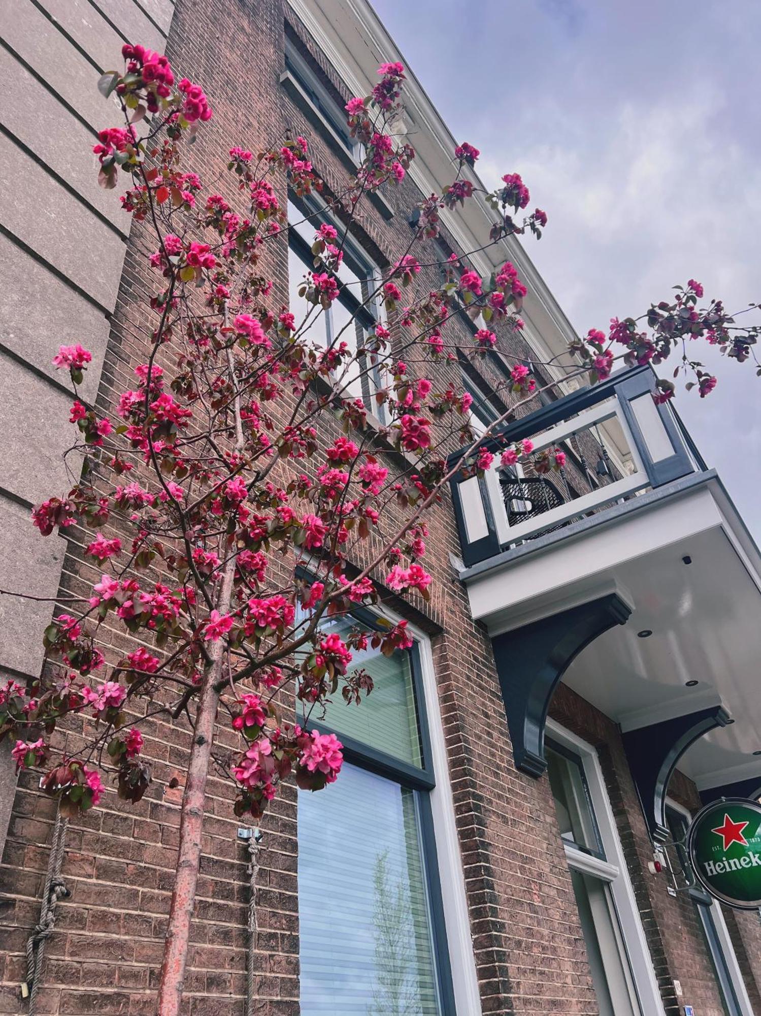 Hotel Loskade 45 Middelburg Ngoại thất bức ảnh
